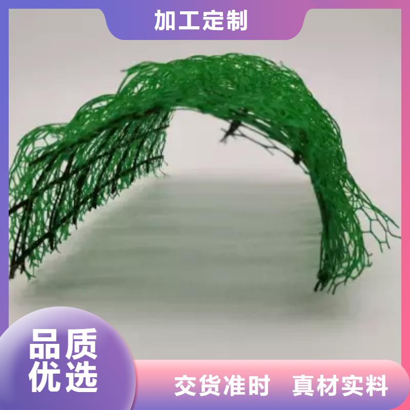 来图定制量大从优《朋联》三维植被网【水泥化粪池】加工定制