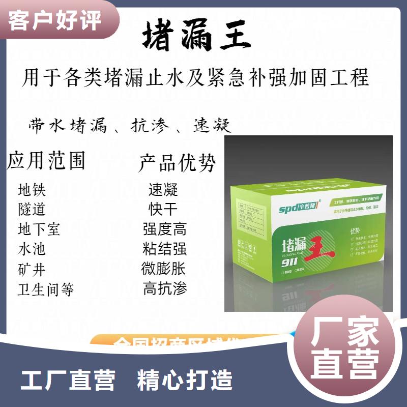 速凝堵漏王型号齐全