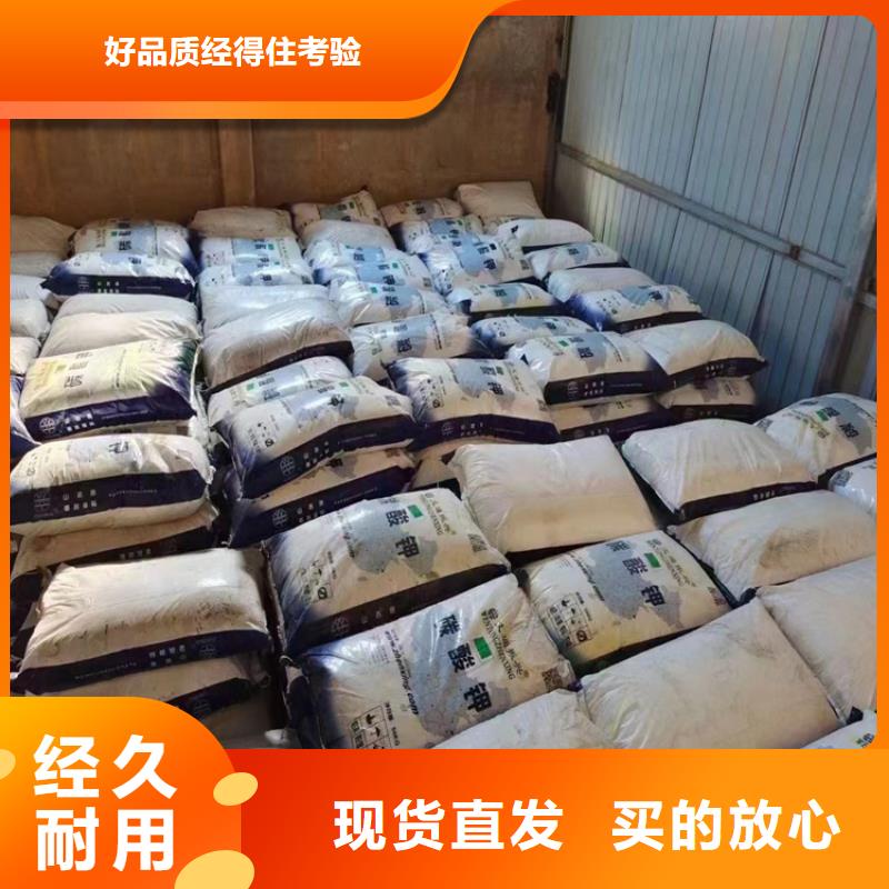 回收骨胶大型团队
