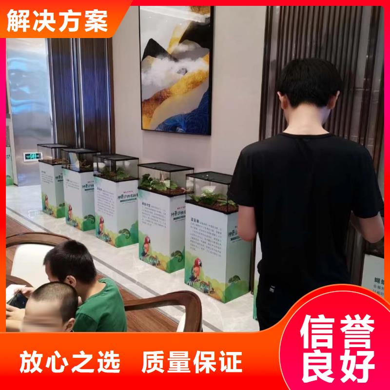 马戏团羊驼出租价格优惠