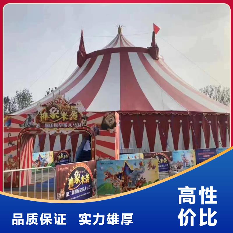 【马戏团/羊驼【美人鱼出租演出】高品质】