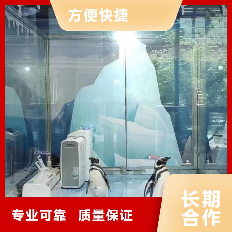 海洋生物鱼缸展租赁免费策划