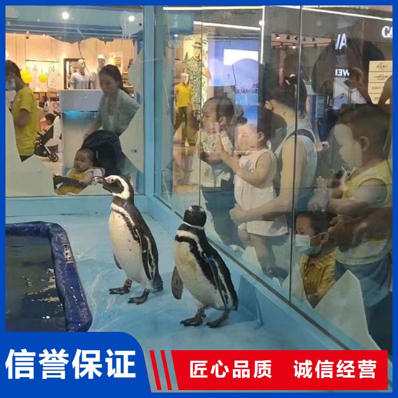 海洋展出租海洋馆