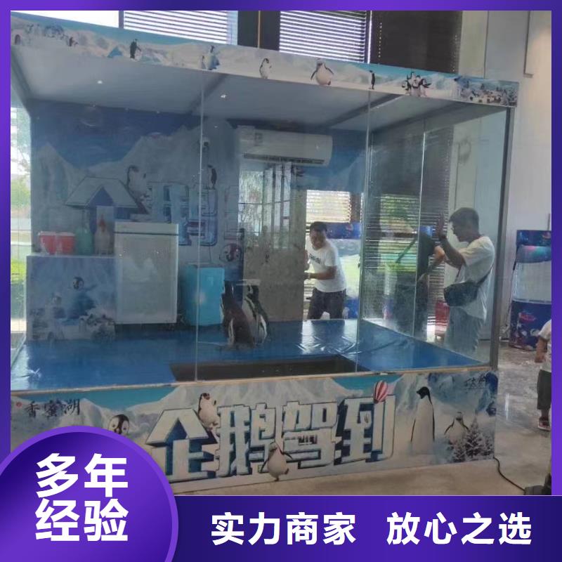 【海洋主题动物表演_海洋展租赁24小时为您服务】