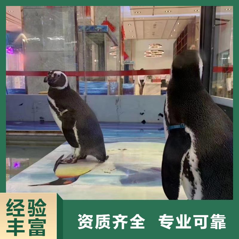 海洋生物展出租厂家设备齐全