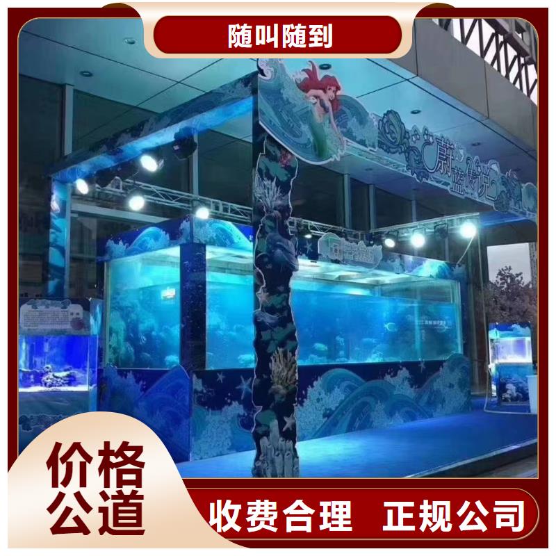 海洋生物展出租品种多价格低