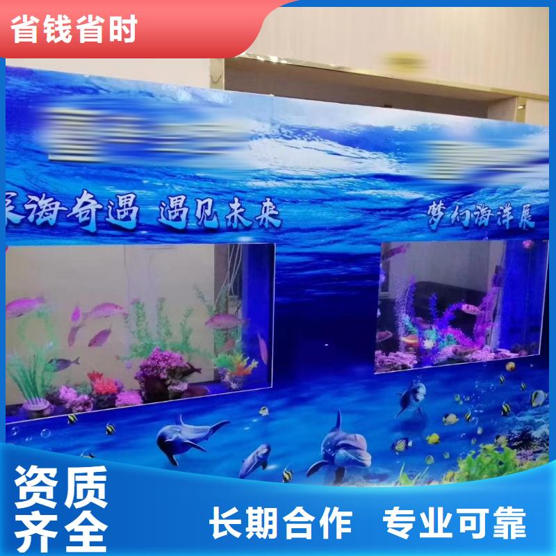 海洋展租赁