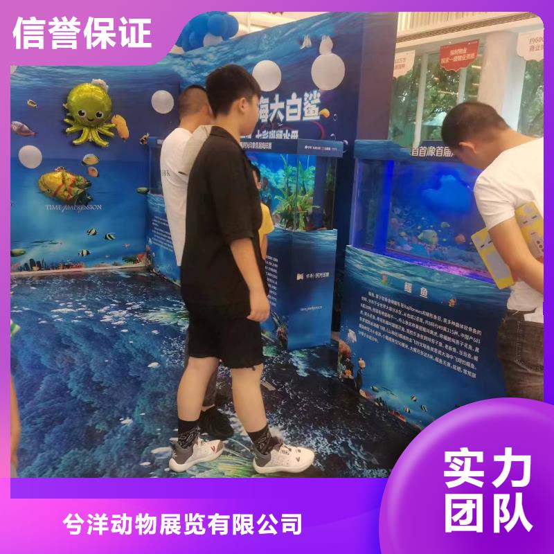 海洋展租赁一手资源