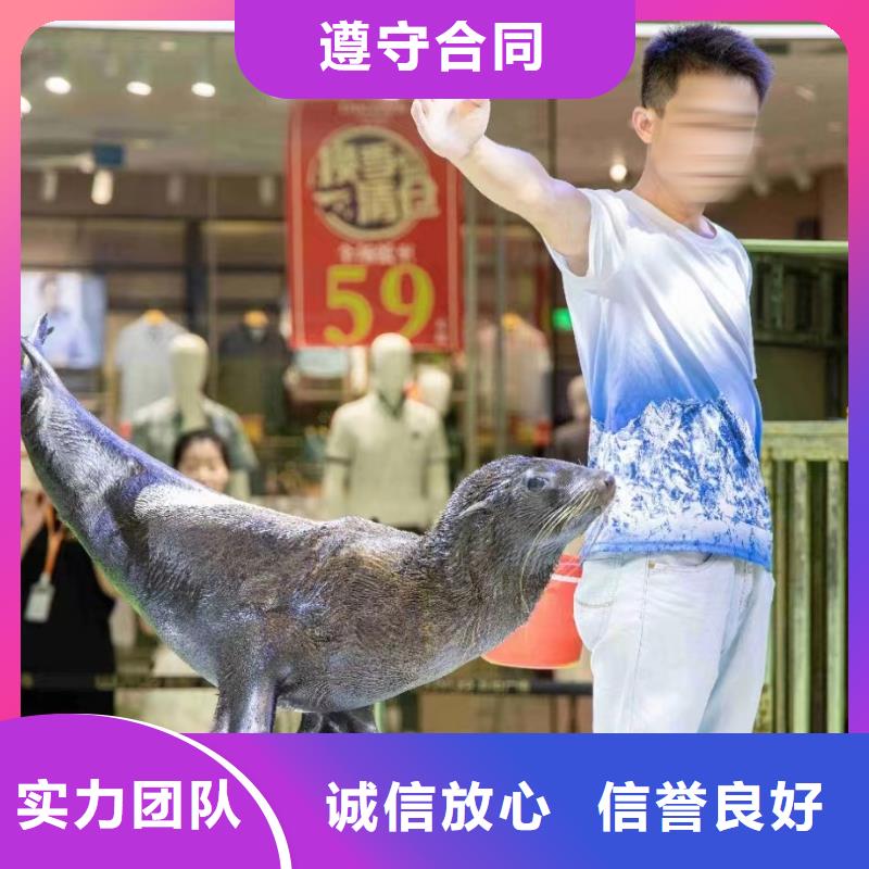 企鹅租赁