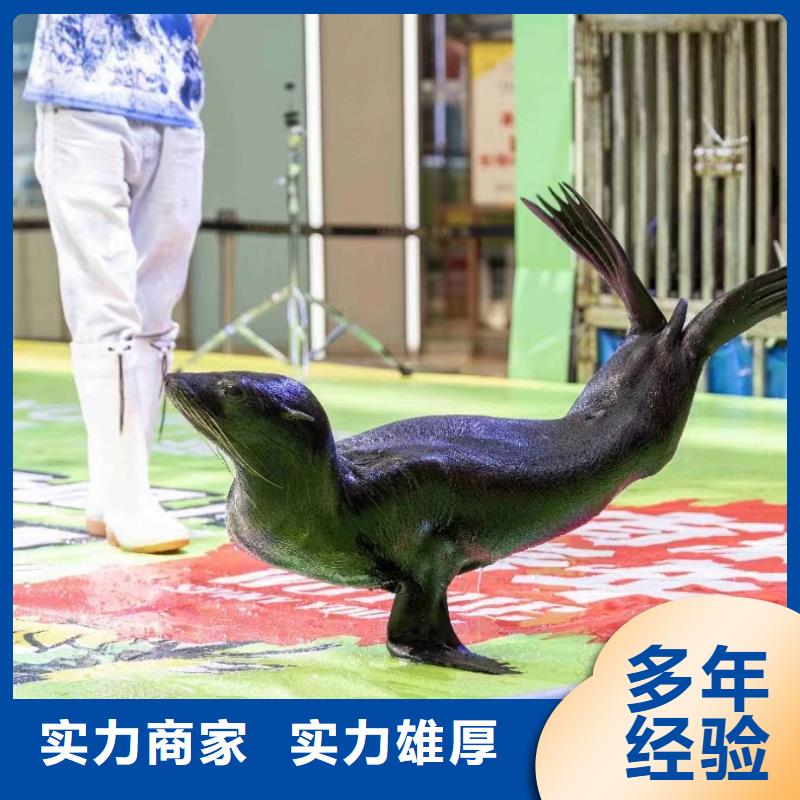 海洋生物展出租