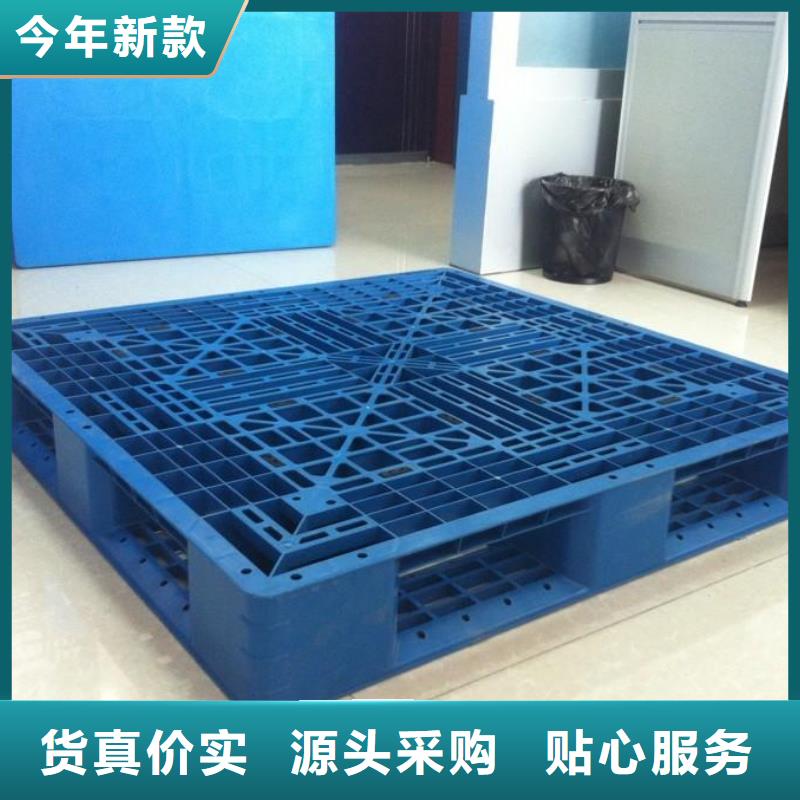 涿州市塑料防潮板价格信息