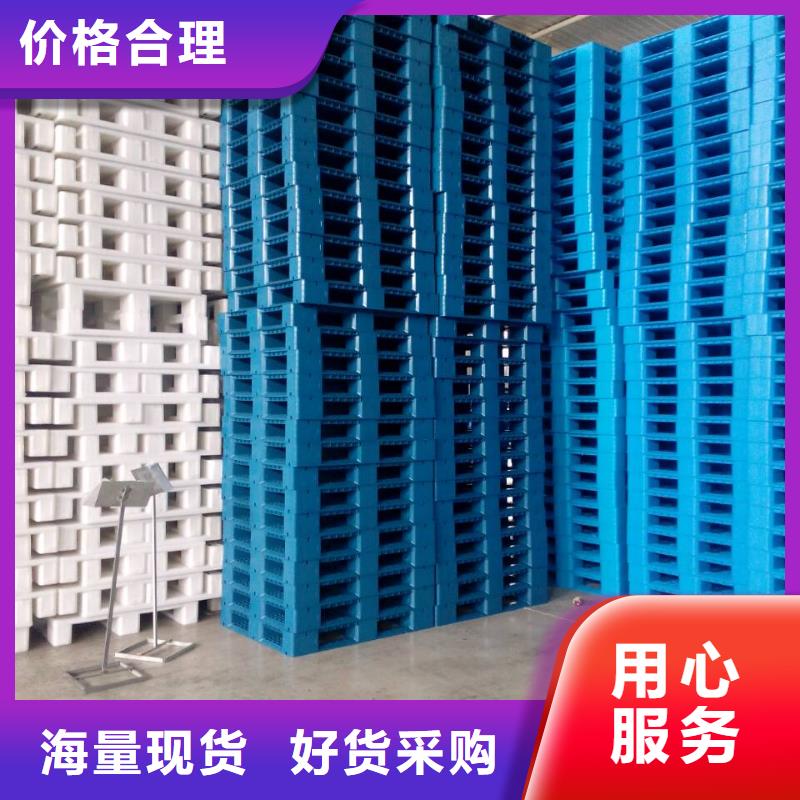 涿州市塑料防潮板价格信息