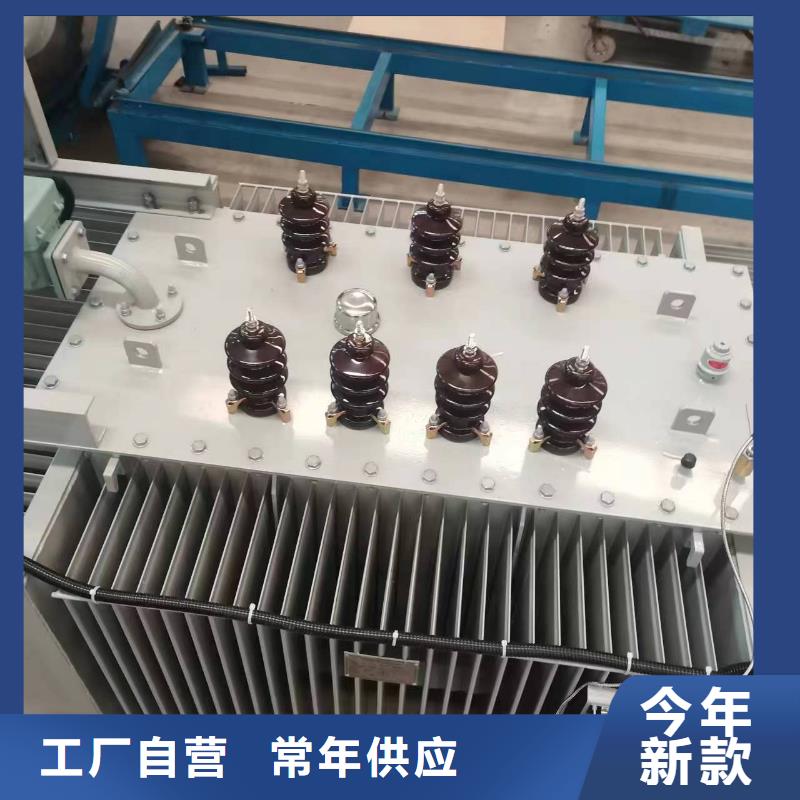 变压器厂家SH15-100KVA10/0.4KV非晶合金油浸式变压器现货价