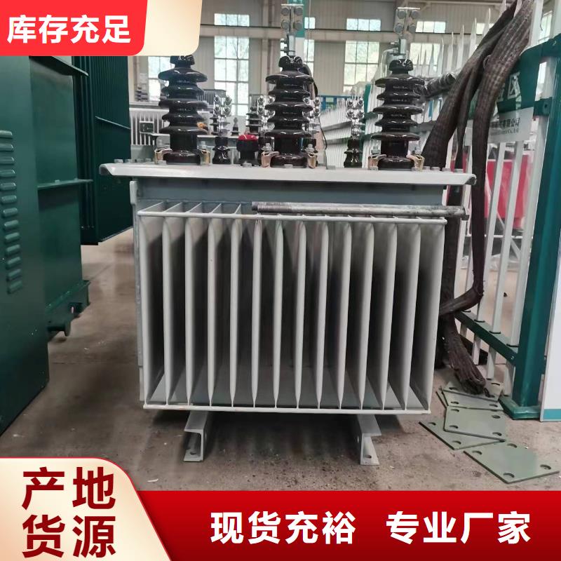 乐东县变压器厂家SH15-250KVA10/0.4KV非晶合金油浸式变压器现货价