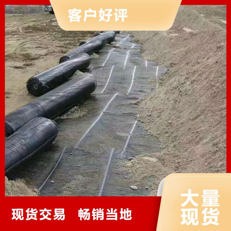 双向塑料格栅价格