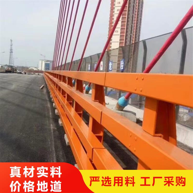 定制【神龙】桥梁钢护栏供应商