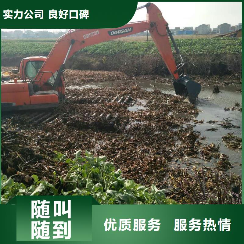 琼中县
水上挖机租赁大图