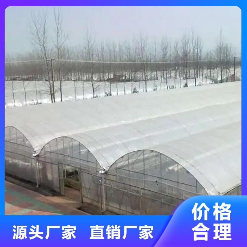 富顺县草莓大棚的跨度几米源头厂家