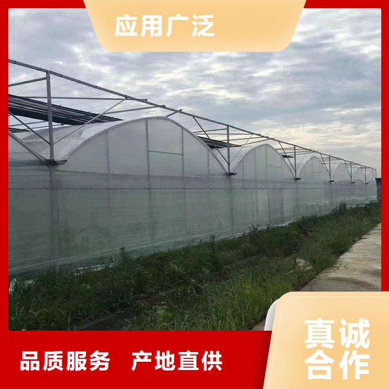 陕西省买<金荣圣>县草莓大棚管在线报价