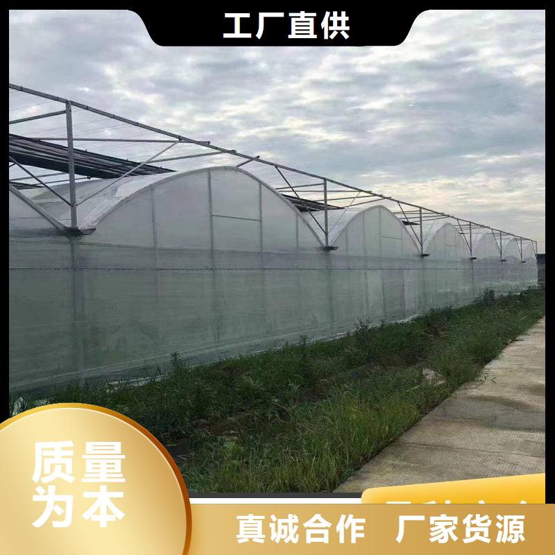河南省同城(金荣圣)蓝莓大棚钢管现货供应