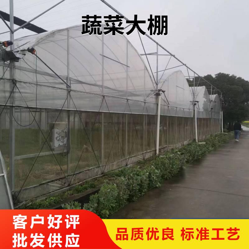 赣县葡萄连体避雨大棚生产基地2024--09