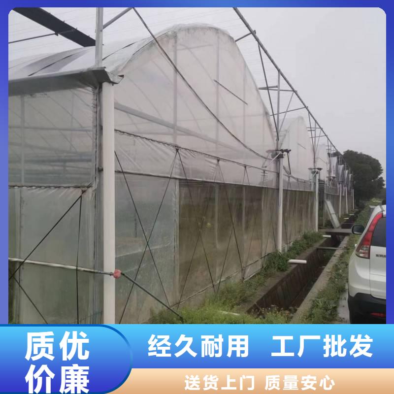 洋县塑料温室连栋大棚造价种类齐全2024-8-28