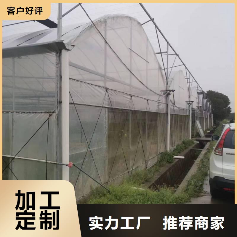河北省批发(金荣圣)定州市6米蔬菜大棚管按需定制【其