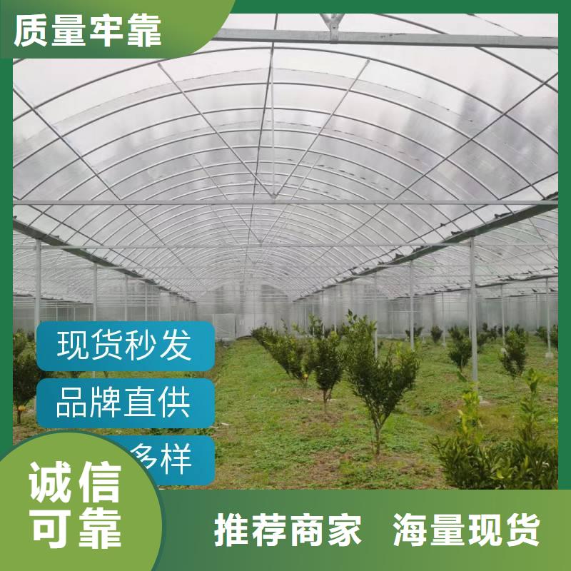 西藏省工厂采购(金荣圣)朗县GP8432连栋温室大棚生产基地