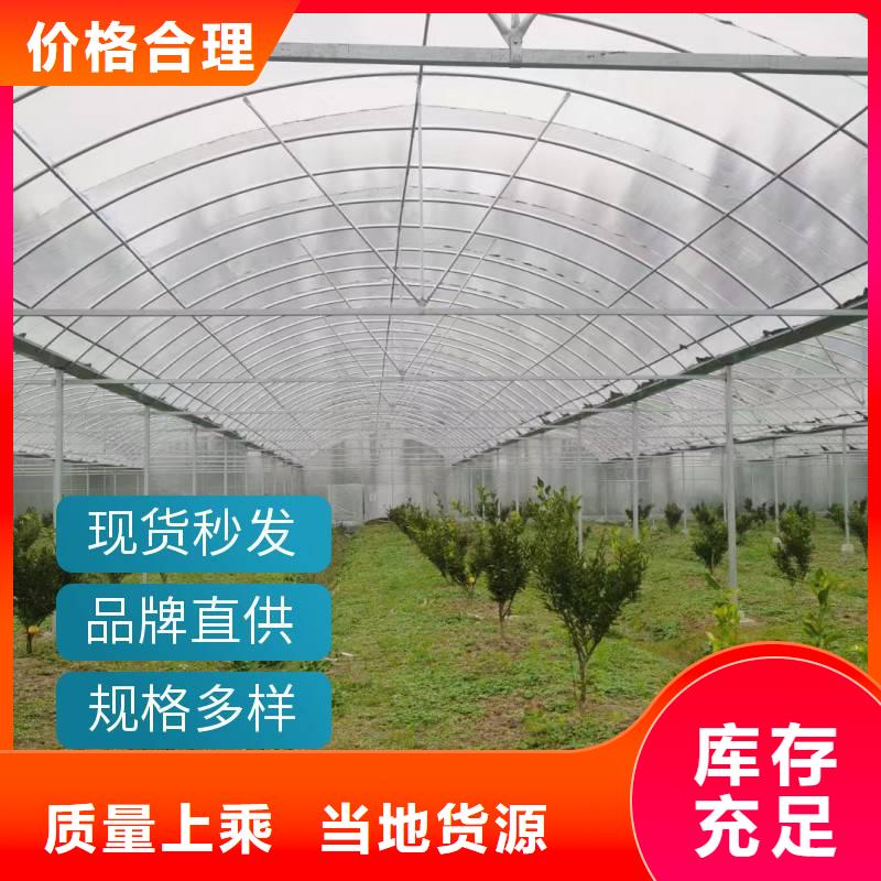 欢迎新老客户垂询<金荣圣>县中草药种植大棚供应商