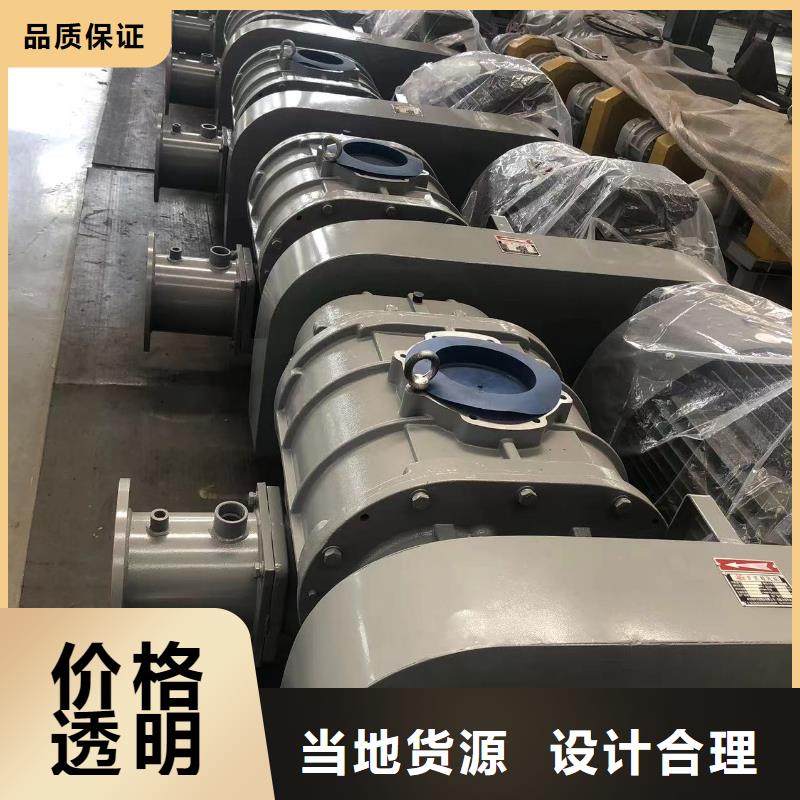 2025三叶罗茨鼓风机LFSR65