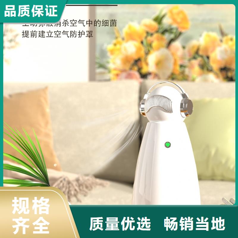 【深圳】家用空气净化器怎么加盟小白祛味王