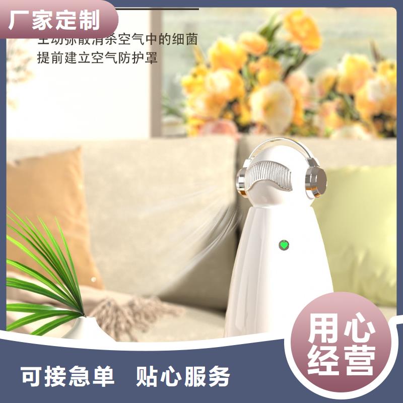【深圳】迷你空气氧吧怎么代理小白空气守护机