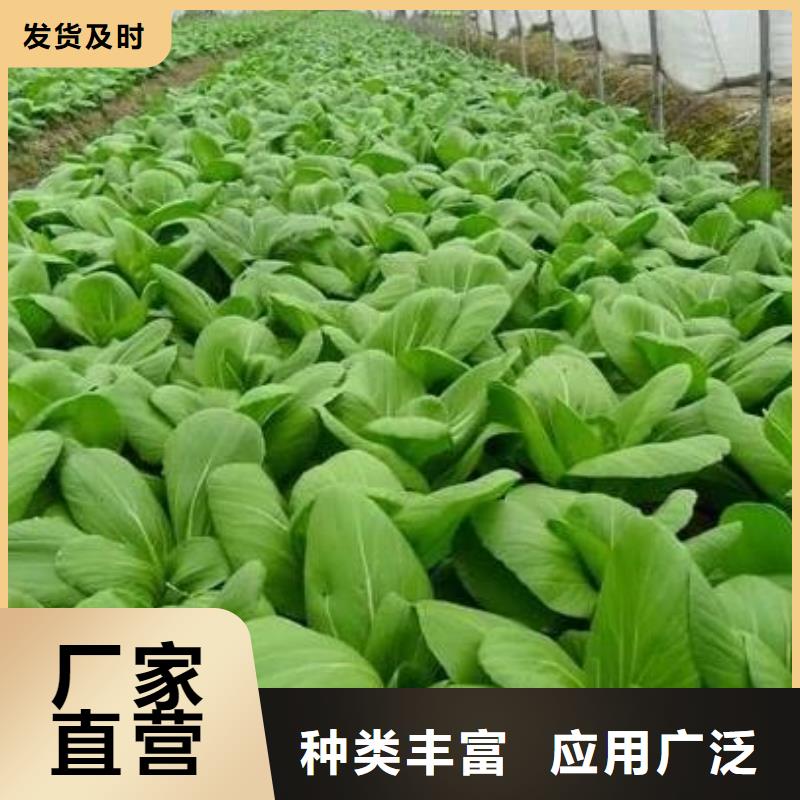 台前阳谷聊城发酵有机肥土壤均衡营养