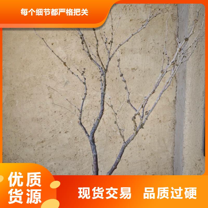 稻草漆生产厂家，批发直销