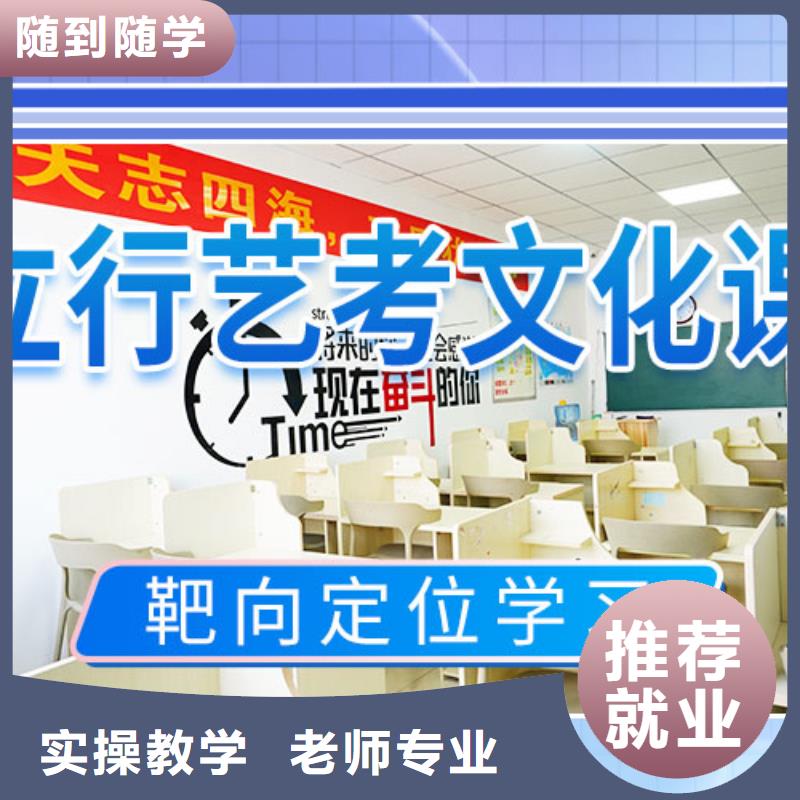 艺术生文化课培训机构有哪些