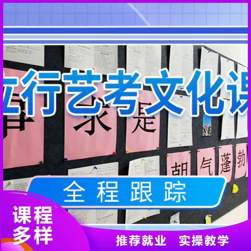 艺术生文化课培训机构有哪些