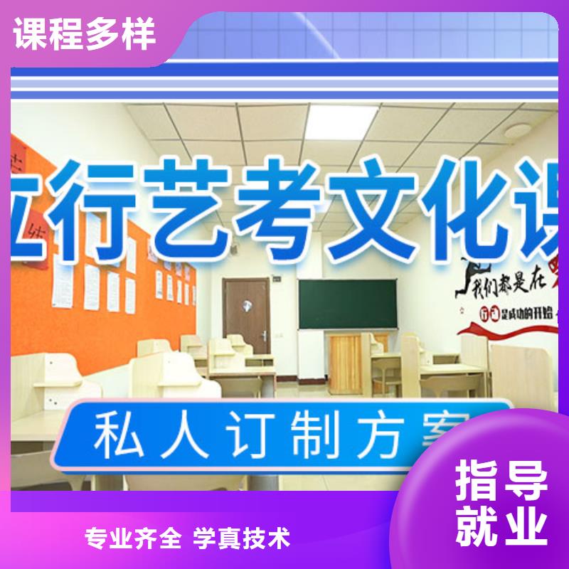 艺考生文化课培训补习有哪些