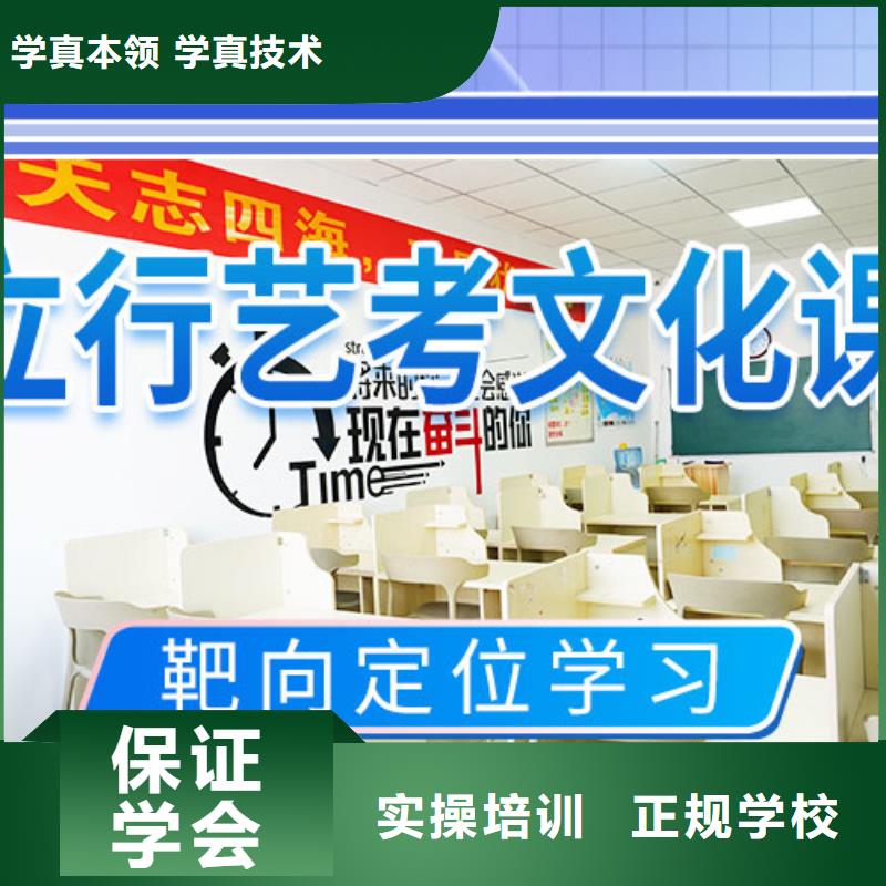 艺考生文化课培训补习有哪些
