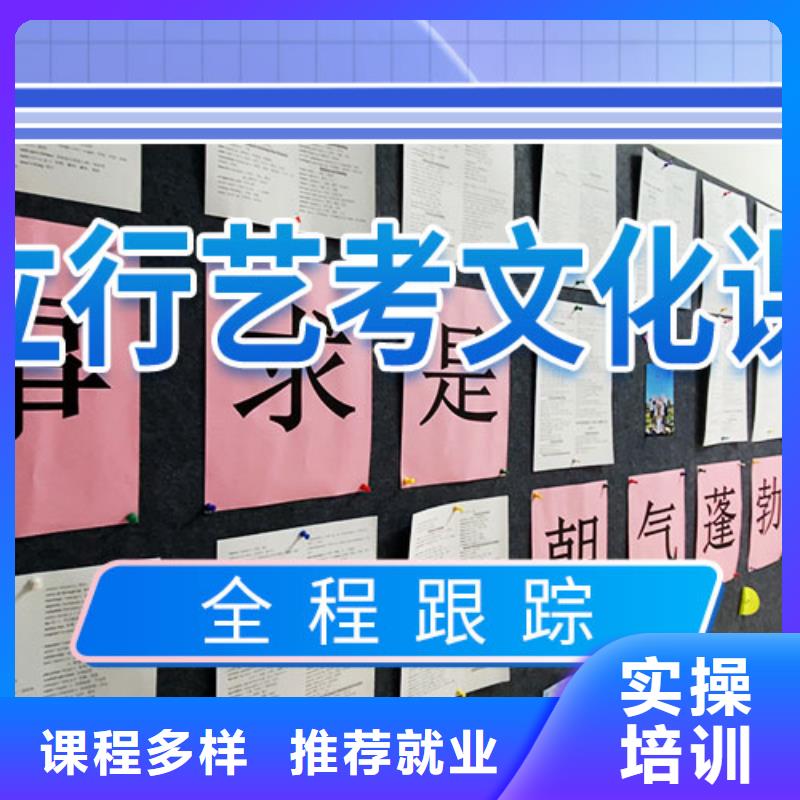艺术生文化课培训补习哪个好