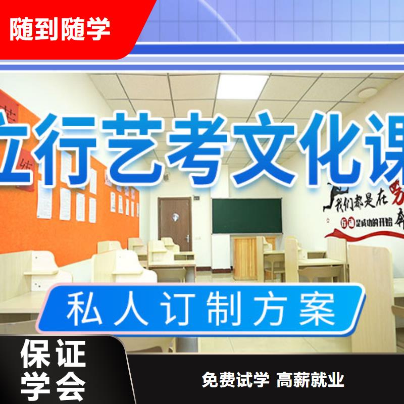 艺考文化课冲刺艺考培训学真技术