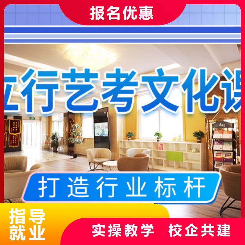 艺考文化课冲刺艺考培训学真技术