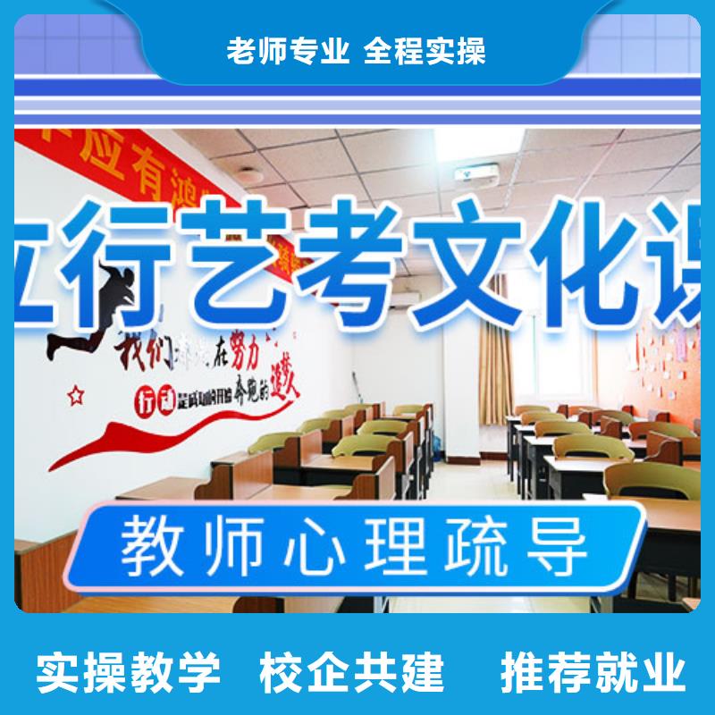 县艺考生文化课培训学校有几家