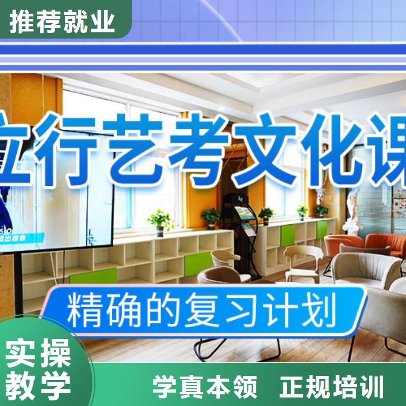 县艺术生文化课辅导集训有没有