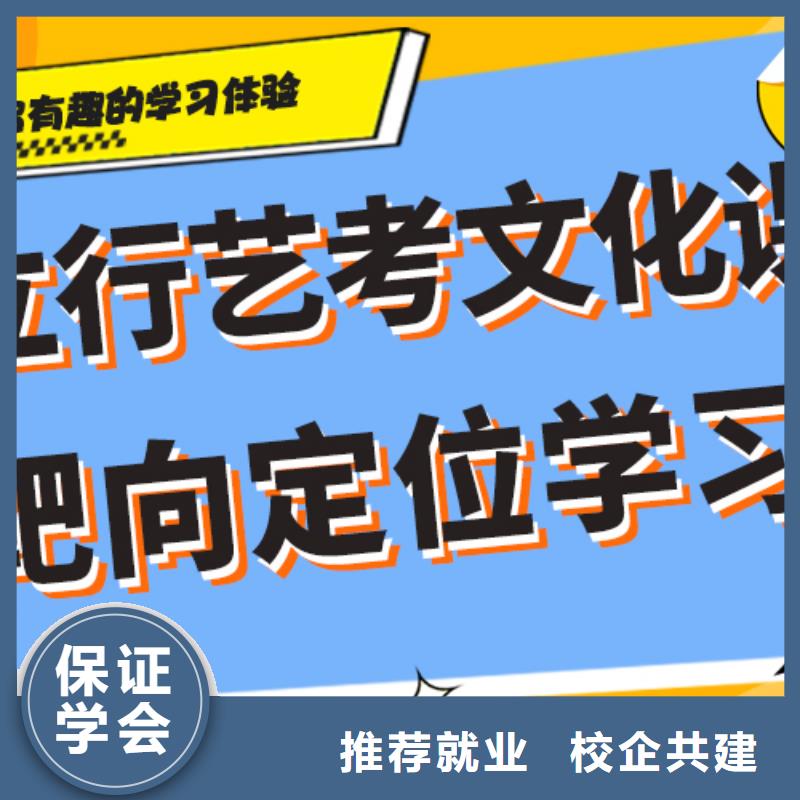 艺考生文化课补习学校哪家好精准的复习计划