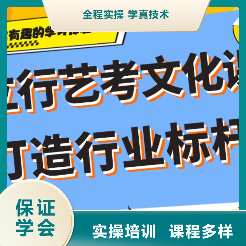 艺术生文化课辅导集训哪家好定制专属课程