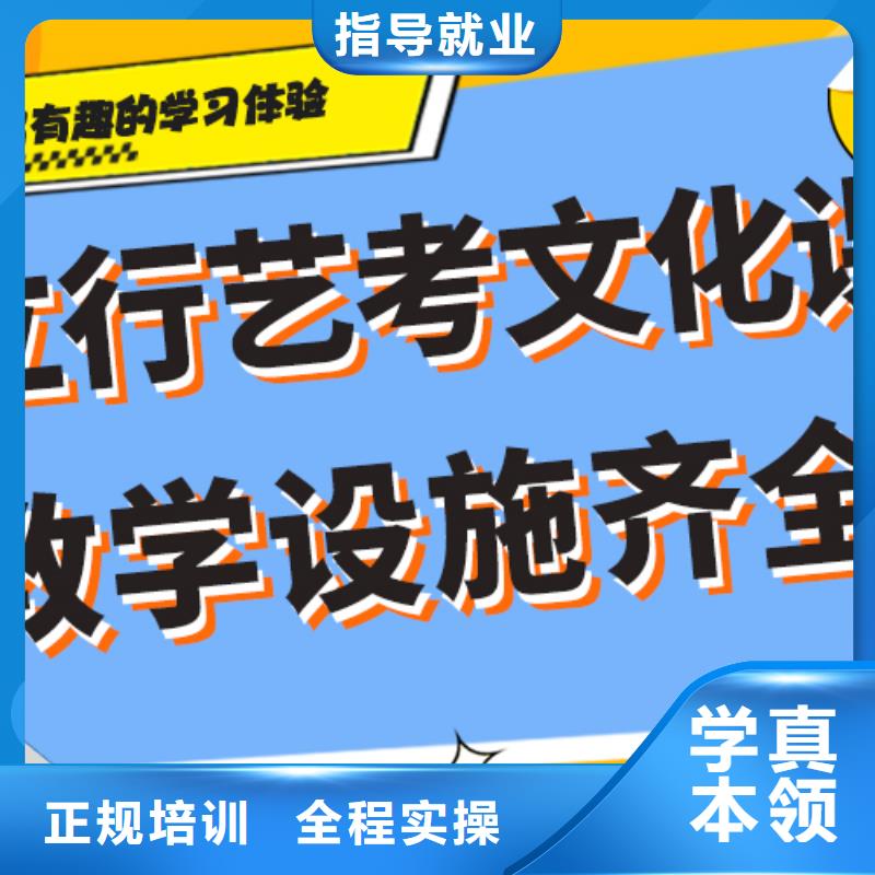 收费艺术生文化课培训学校定制专属课程