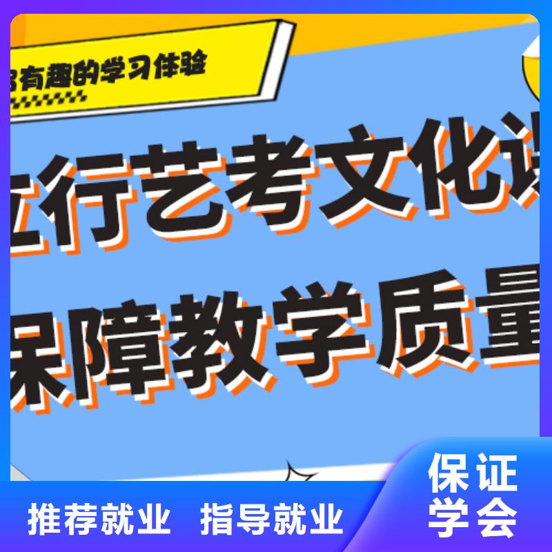 好不好艺术生文化课辅导集训针对性教学