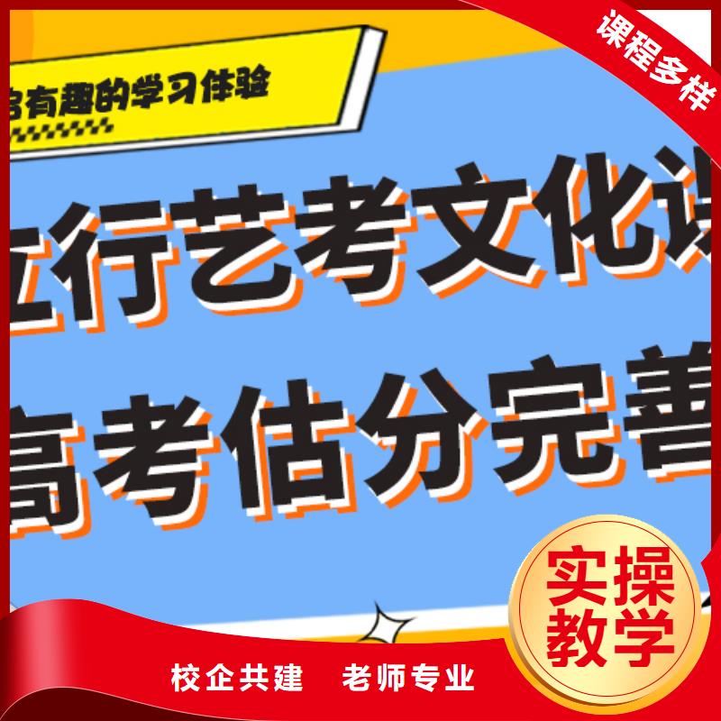 艺术生文化课辅导集训一览表定制专属课程