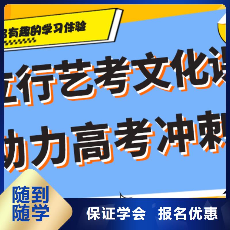 艺术生文化课补习学校有哪些定制专属课程