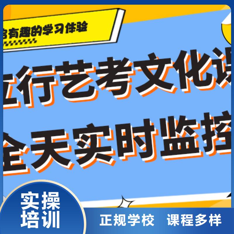 艺术生文化课补习学校有哪些定制专属课程